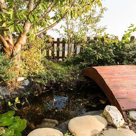 Willa Il Ciliegio Sul 6, Emma Massarosa