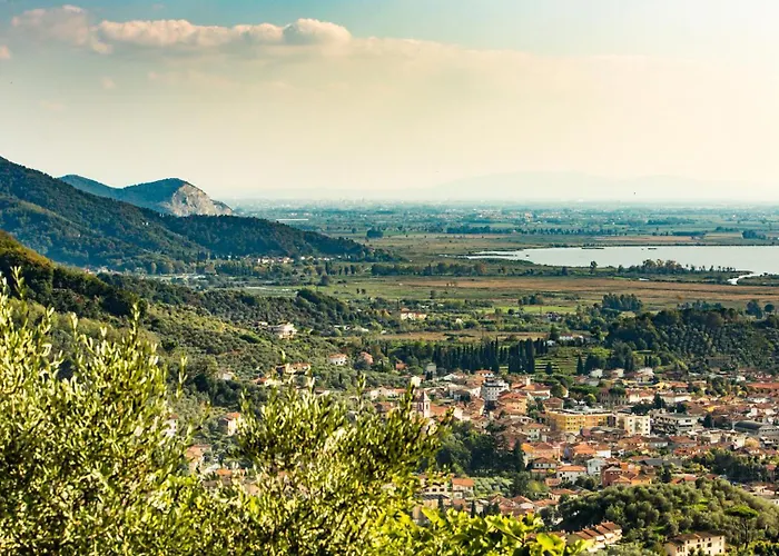 Il Ciliegio Sul 6, Emma Massarosa