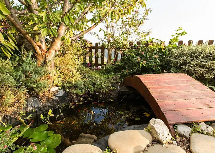 Willa Il Ciliegio Sul 6, Emma Massarosa